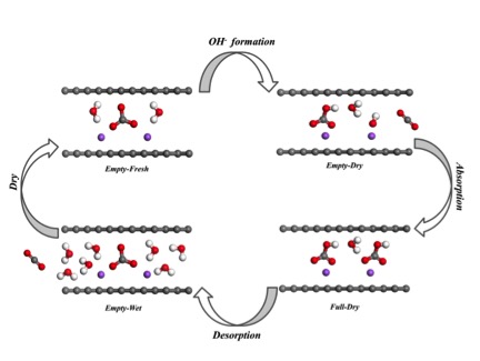 Reaction pathway of CO2 absorbption