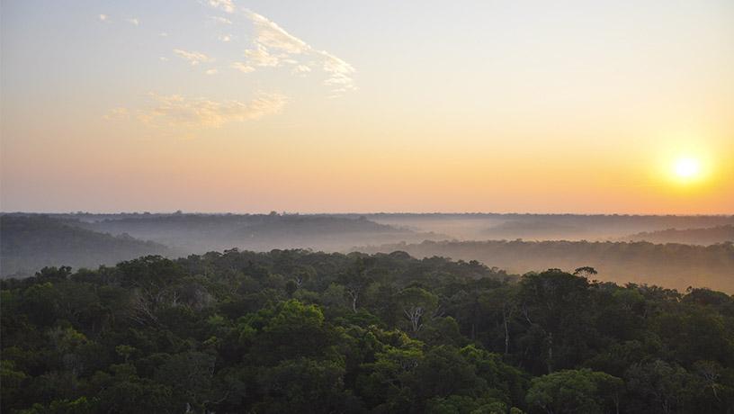 Sunrise over the Amazon rainforest