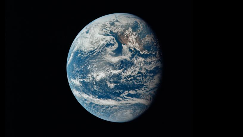 Can Ai Help Save Our Planet